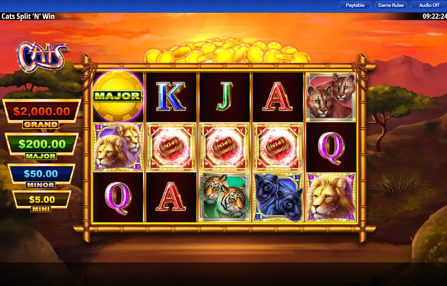 Cats Split N Win carousel image 3