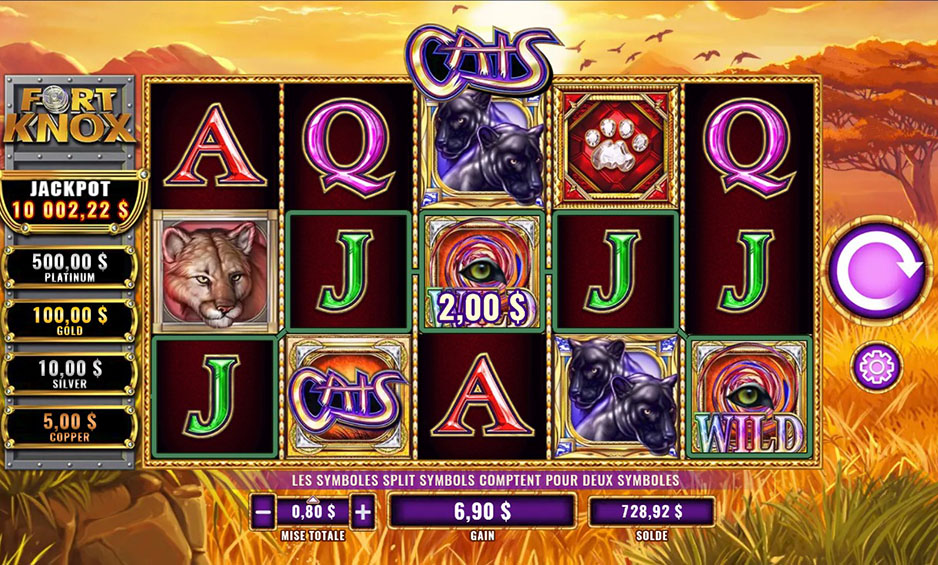 Fort Knox Cats carousel image 1