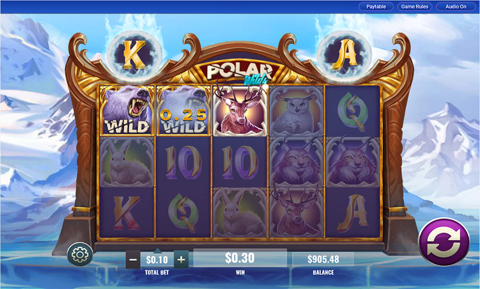 Polar Wilds carousel image 1