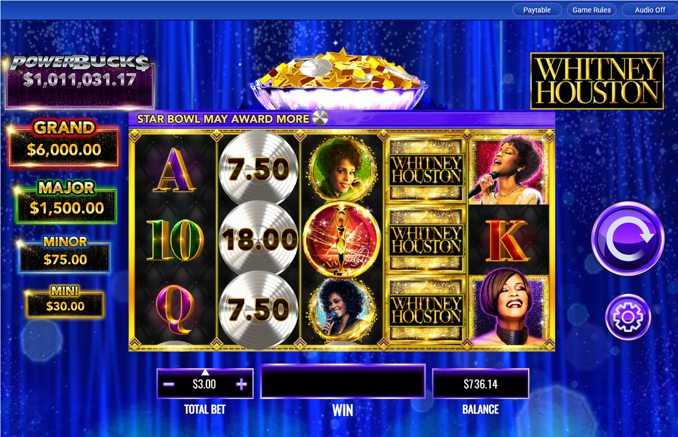 Powerbuck$ Whitney Houston carousel image 0