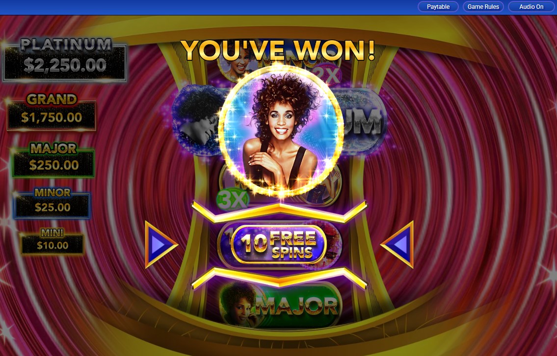 Whitney Houston carousel image 7