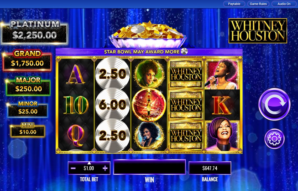 Whitney Houston carousel image 0