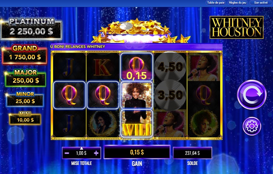 Whitney Houston carousel image 1